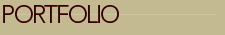 Portfolio Item Details